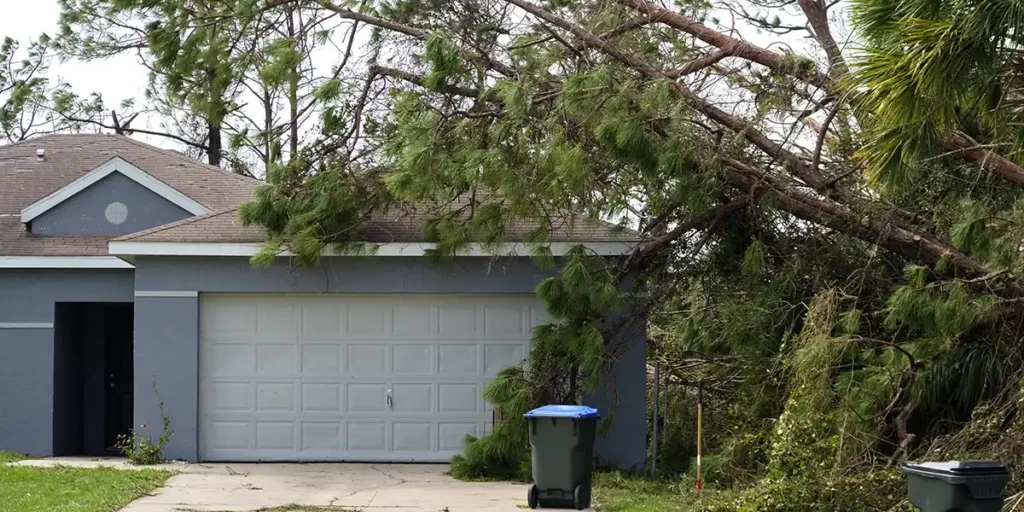 Heavy winds and solar panels